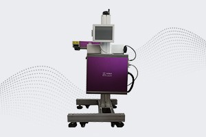 AM紫罗兰系列光纤激光喷码机